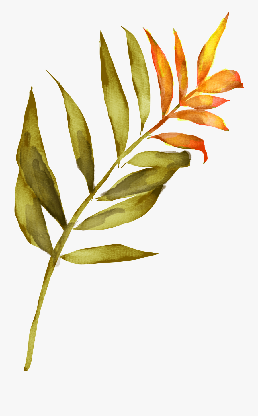 Watercolor Leaf Png -floral Watercolor, Watercolour, - Card Hawaii Watercolor, Transparent Clipart