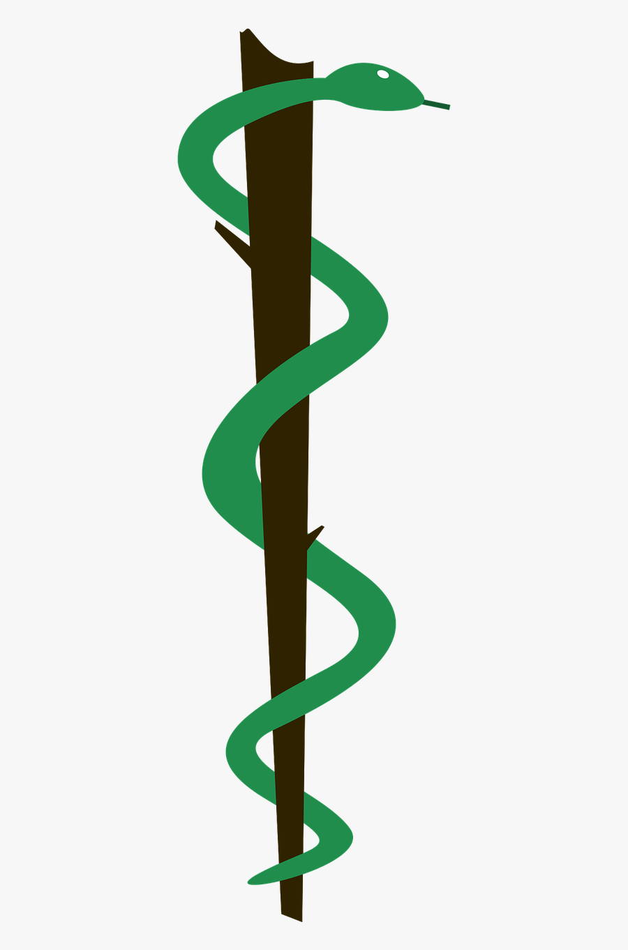 Brazilian Medicine Symbol - Green Snake Medicine Logo, Transparent Clipart