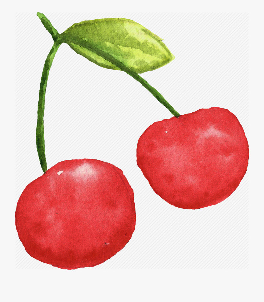 Clip Art Fruit Watercolor - Fruit Watercolor Png, Transparent Clipart