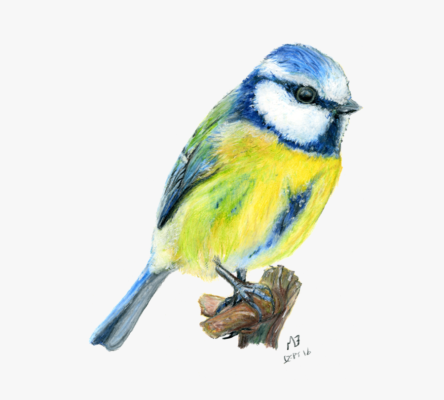 Clipart Pencil Watercolor - Watercolor Painting, Transparent Clipart