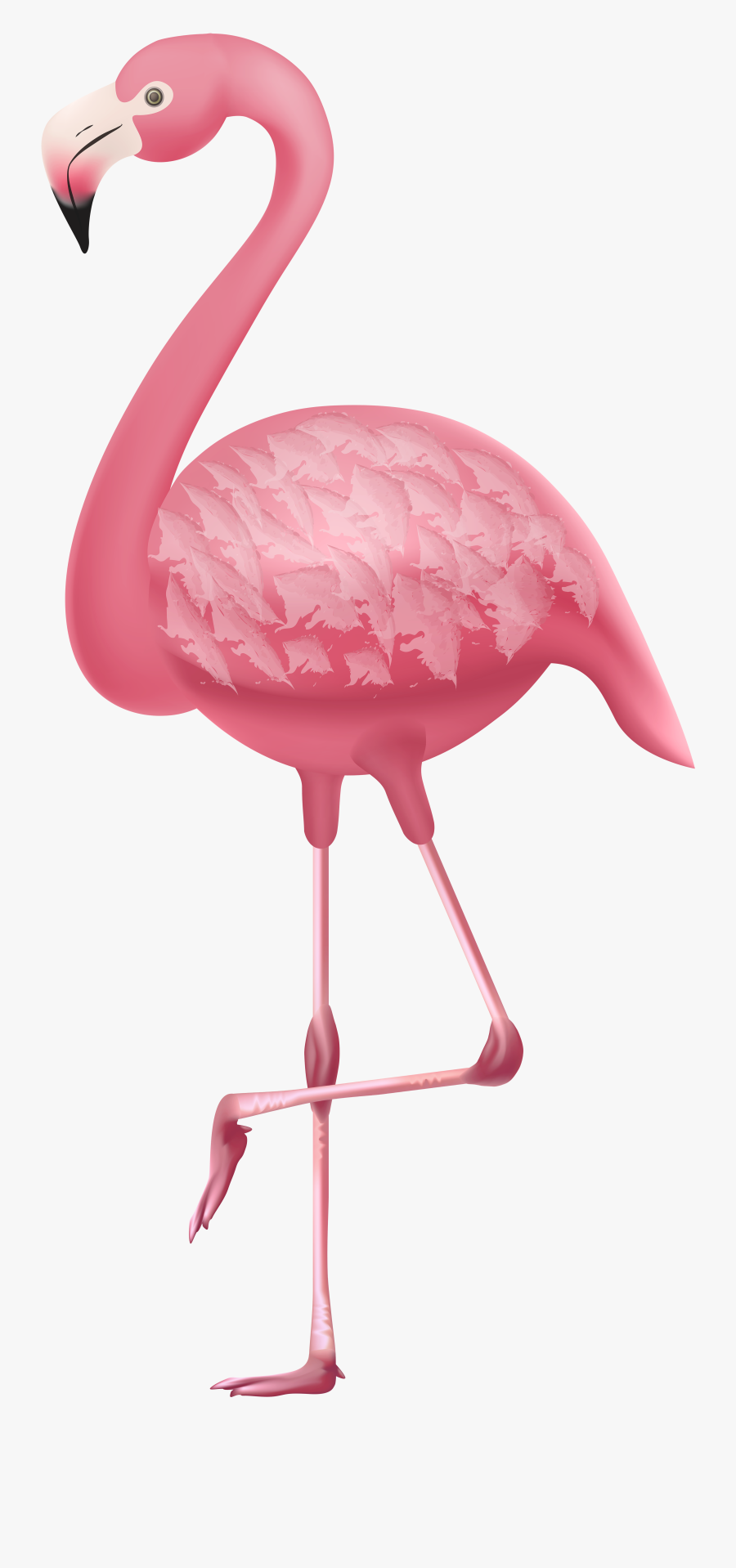 Png Gallery Yopriceville Quality - Flamingo Clipart Png, Transparent Clipart