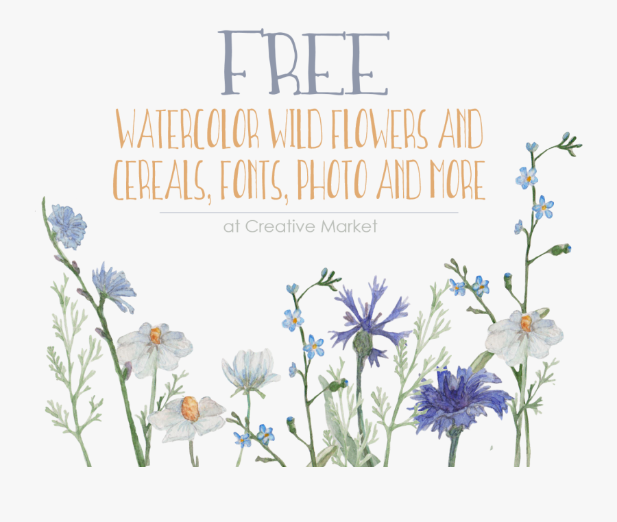 Globe Thistle, Transparent Clipart