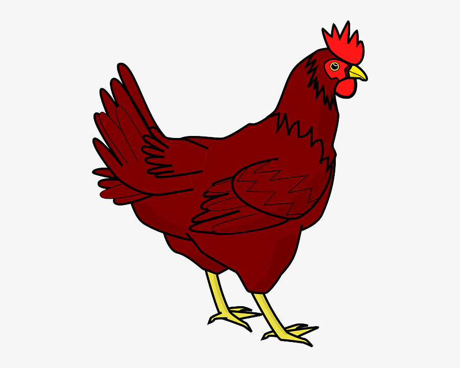 Chicken Png Transparent Image - Hen Clipart, Transparent Clipart