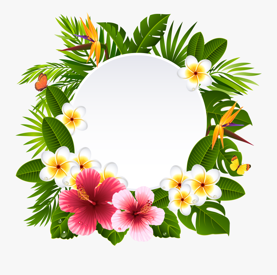 Tropical Frame Cliparts - Hawaiian Flower Frame Png, Transparent Clipart