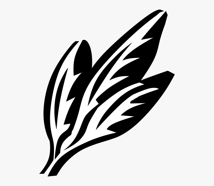 Black Vector Herb, Transparent Clipart