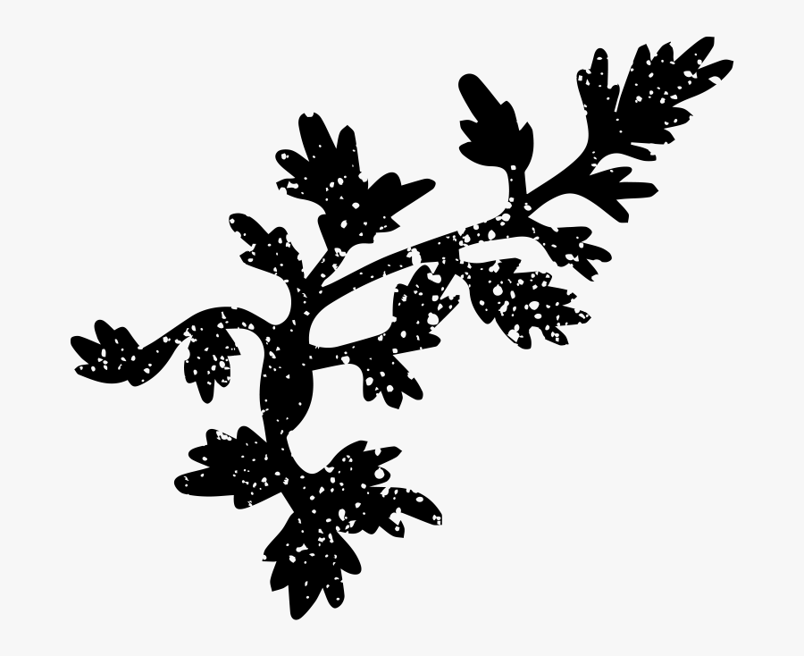Gambel Oak, Transparent Clipart