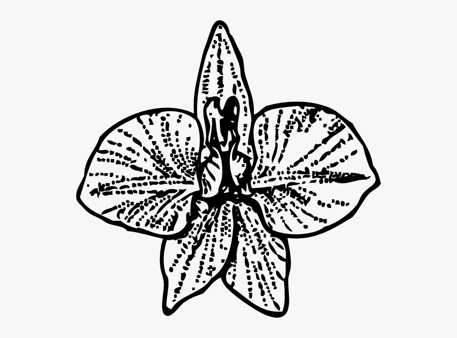 Transparent Clipart Orchid Png, Transparent Clipart