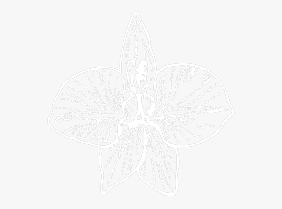 Transparent Orchid Clipart Black And White - Orchid, Transparent Clipart