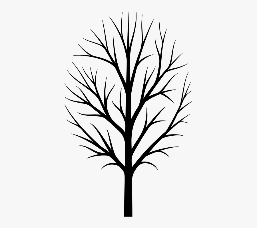 Graphic Tree 7, Buy Clip Art - Fathers Day Tree Printables, Transparent Clipart