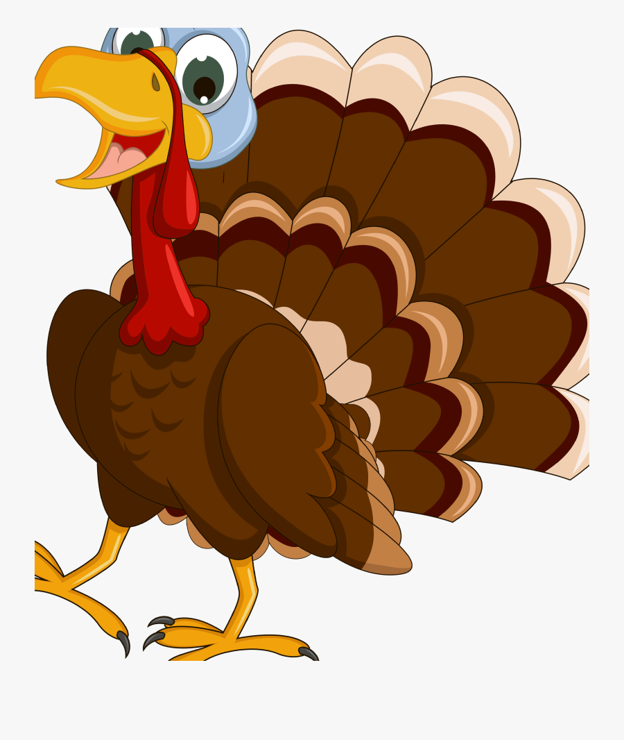 Turkey Cartoon Drawing Clip Art - Cartoon, Transparent Clipart