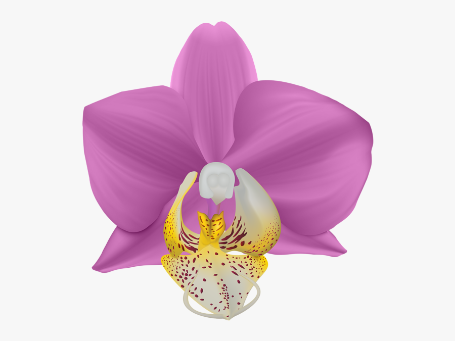 Transparent Png Clip Art - Clip Art, Transparent Clipart