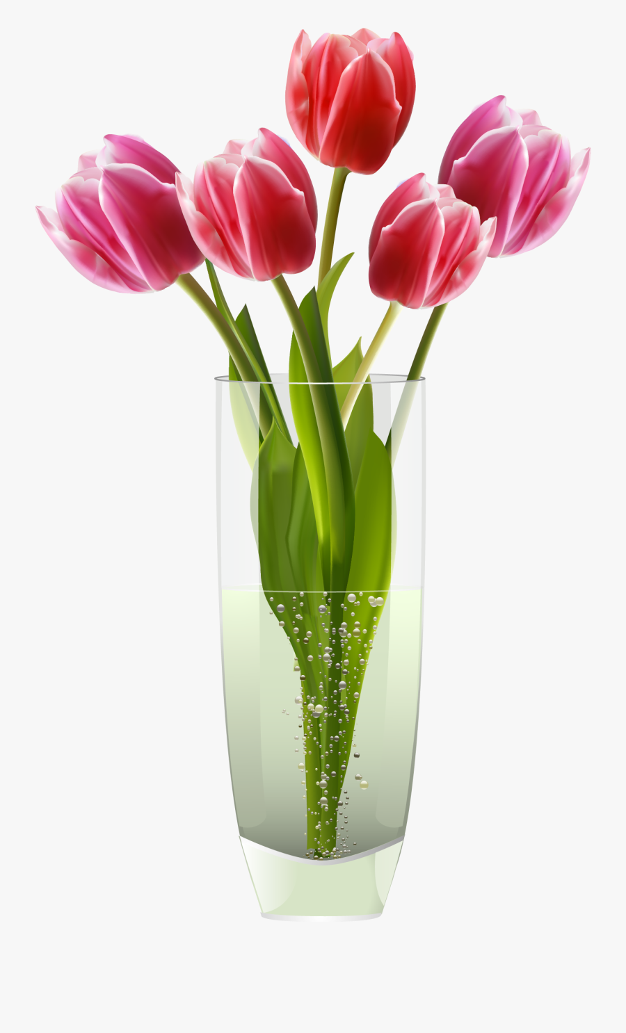 Flowers In Google Suche, Transparent Clipart