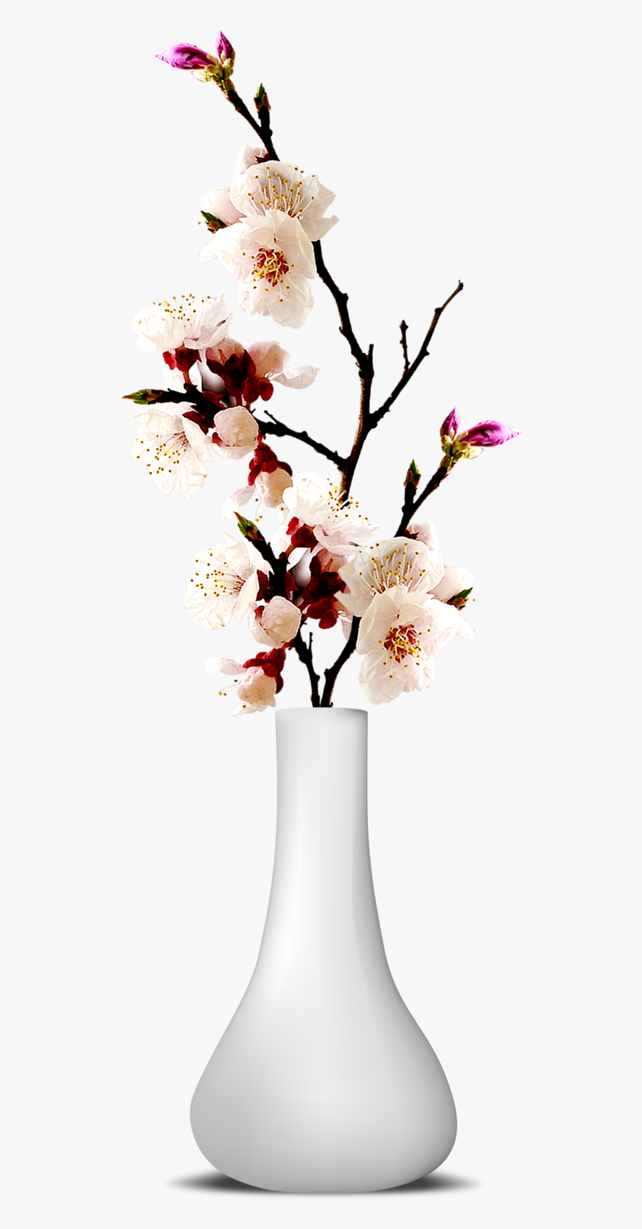 Transparent Flower Vase Png, Transparent Clipart