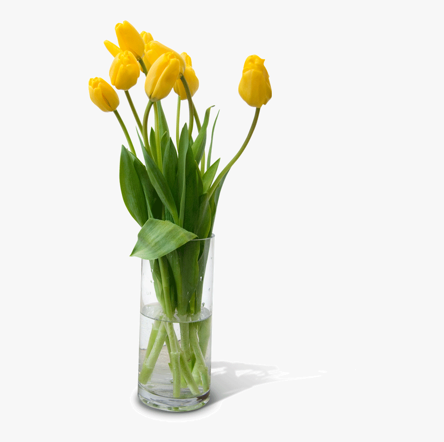 Flower Vase Png Free Download - Flowers In Vase Png, Transparent Clipart