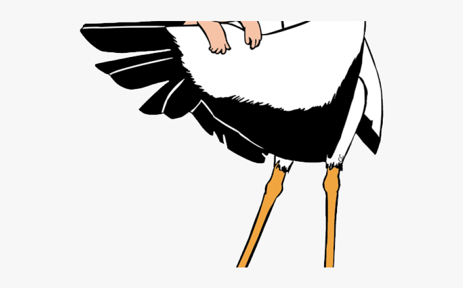 Storks Baby Coloring Pages, Transparent Clipart