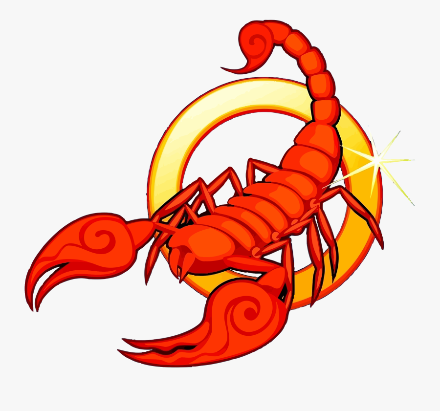 Zodiac Astrological Sign Scorpio Scorpion 10/23 - Clip Art Of Scorpio, Transparent Clipart