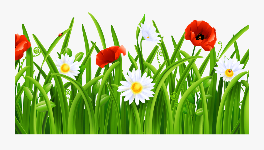 Transparent Grasshopper Clipart - Clip Art Flowers On Grass, Transparent Clipart