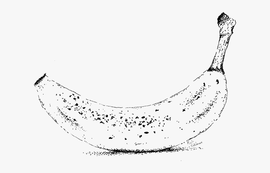 Line Art, Transparent Clipart