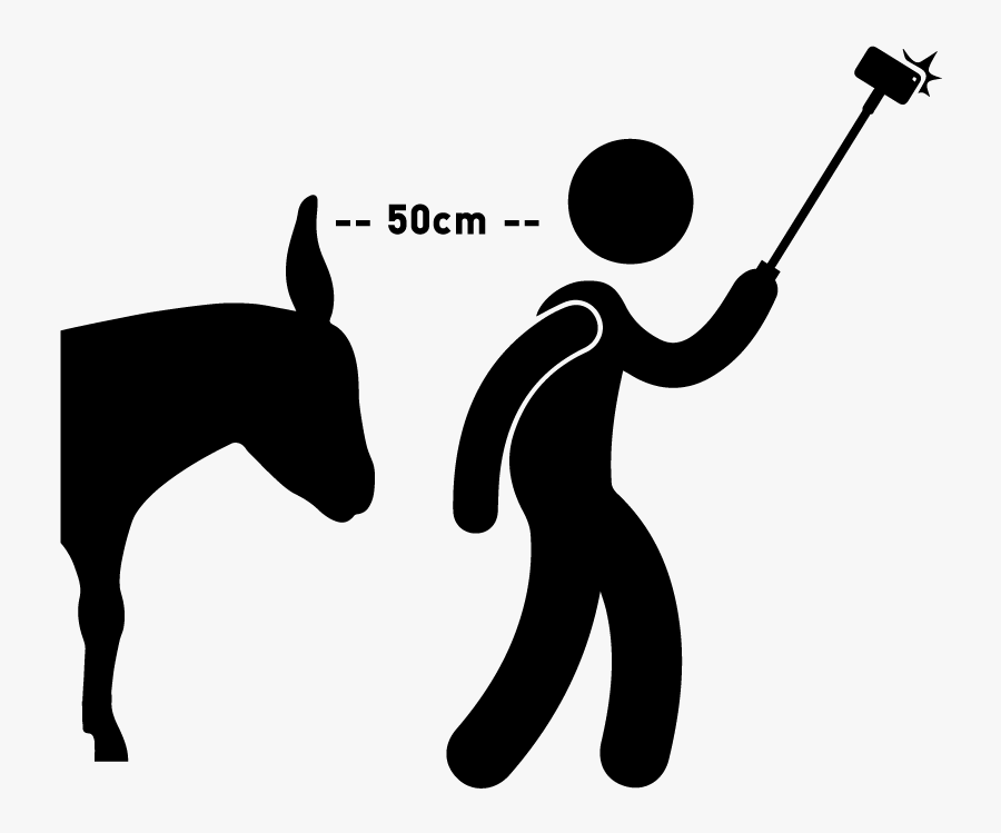 Silhouette, Transparent Clipart