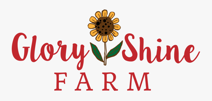 Sunflower, Transparent Clipart