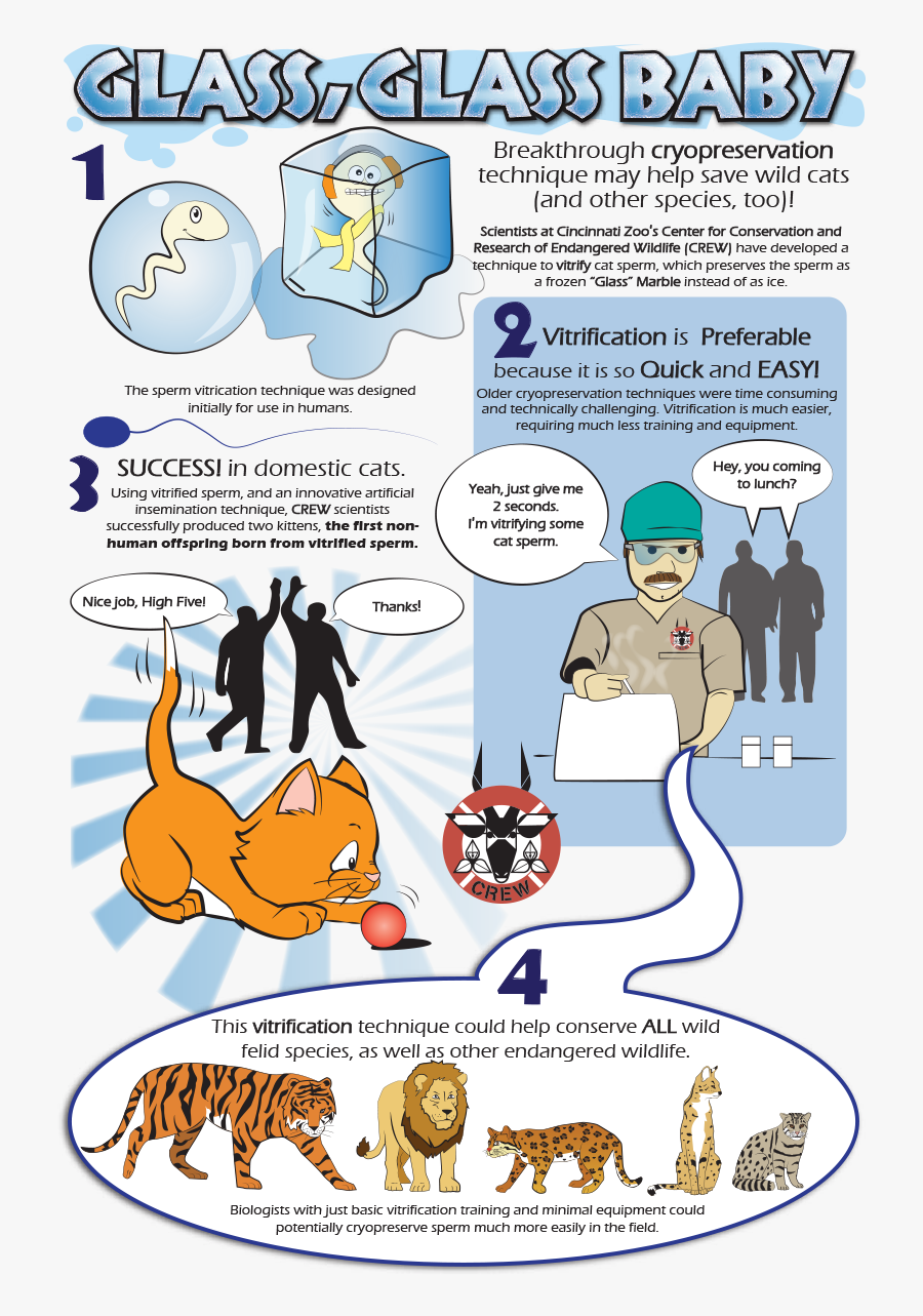 Petting Zoo Clip Art, Transparent Clipart