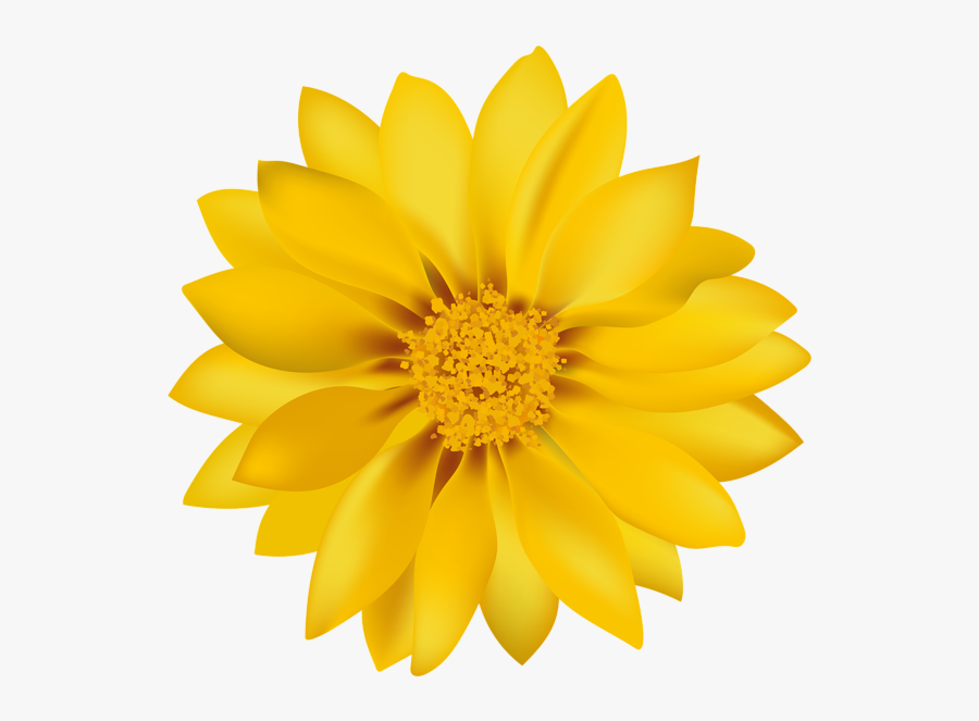 Yellow Flower Transparent Clip Art Image - Transparent Background Flower Clipart, Transparent Clipart