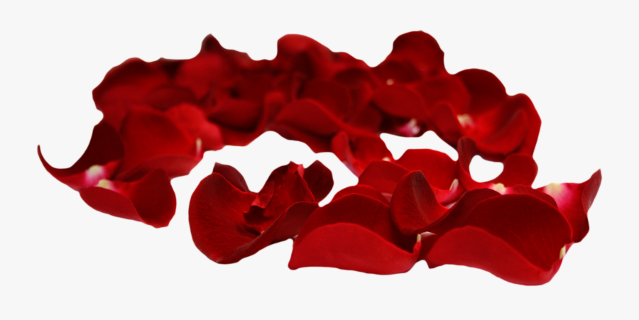 Svg Petal Clip Art Transprent Png Free Download - Transparent Background Rose Petal Png, Transparent Clipart