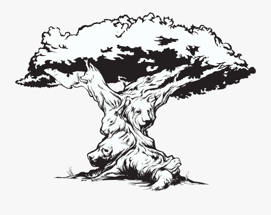 Picture - Zoo, Transparent Clipart