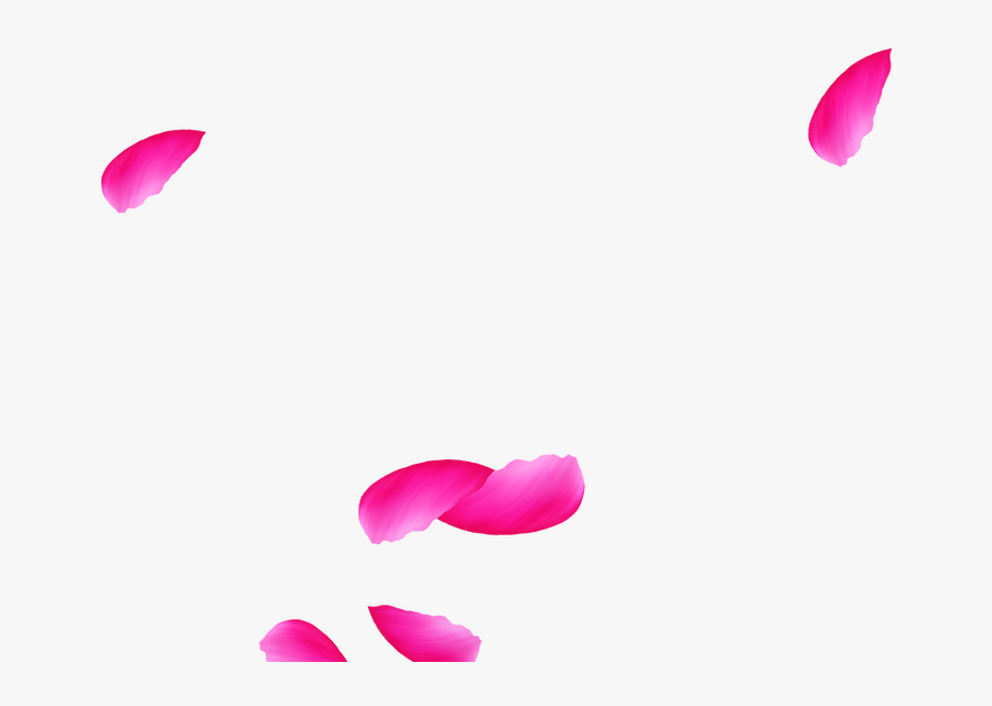 Tulip, Transparent Clipart