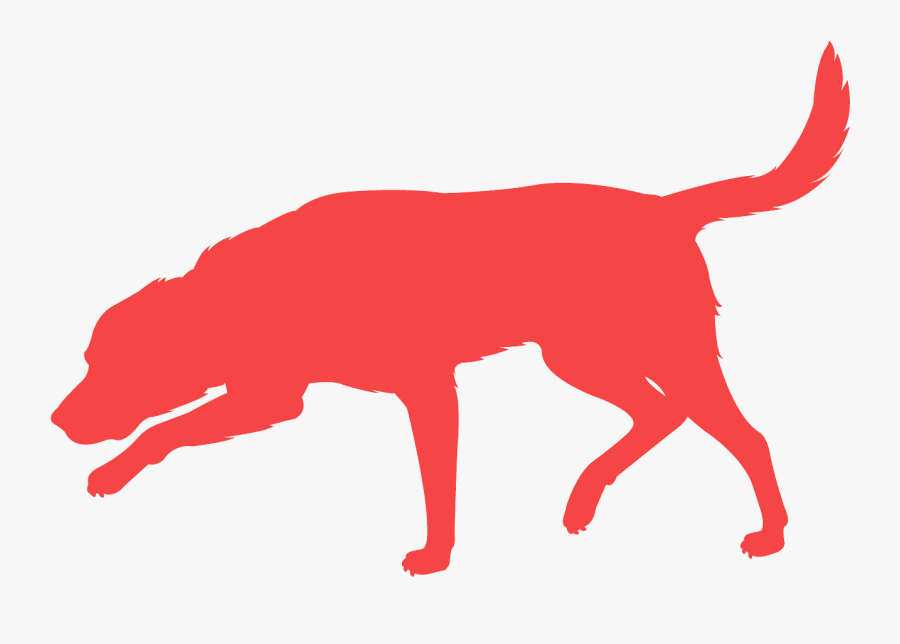 Sticker, Transparent Clipart