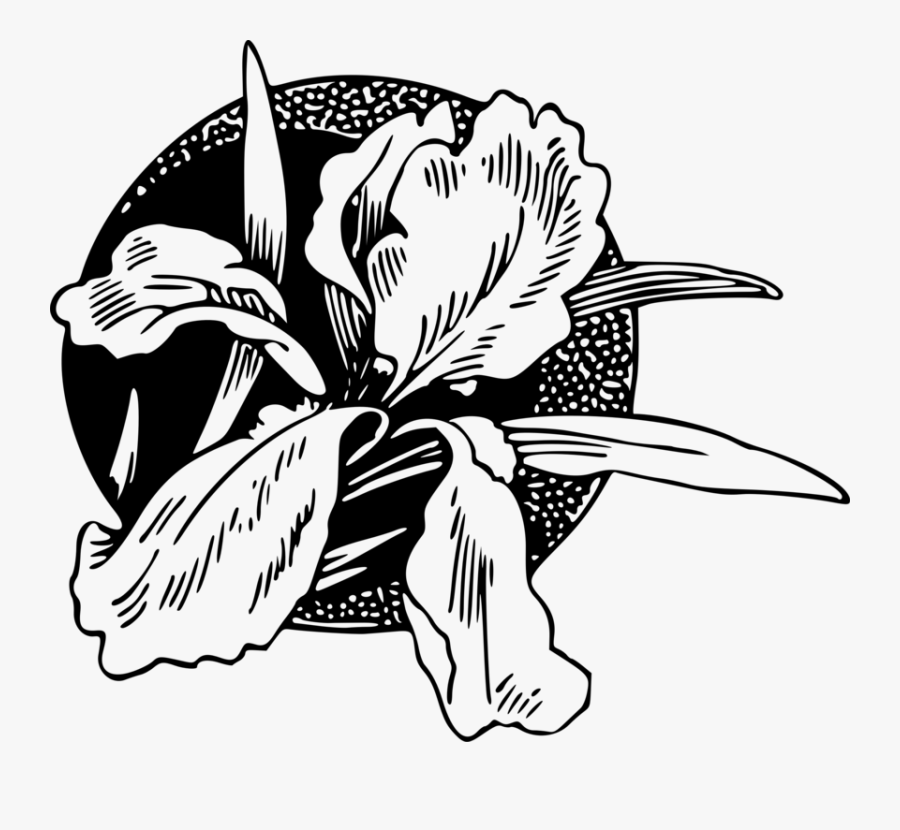 Art,monochrome Photography,petal - Black And White Flower Design Clip Art, Transparent Clipart