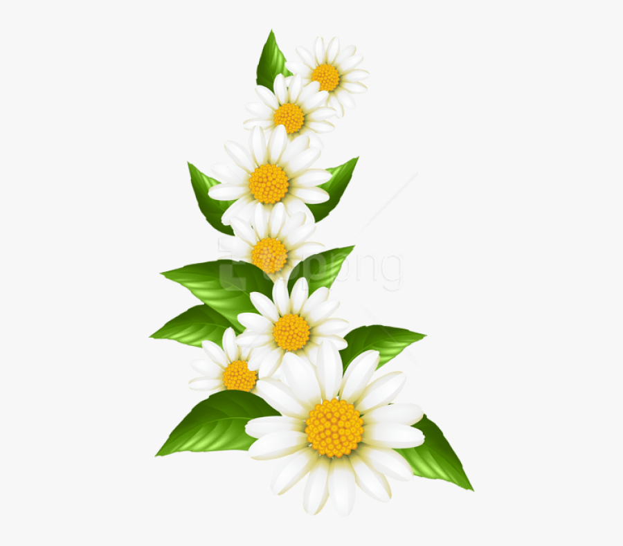 Transparent Get Better Clipart - Flower Clipart Transparent Free, Transparent Clipart