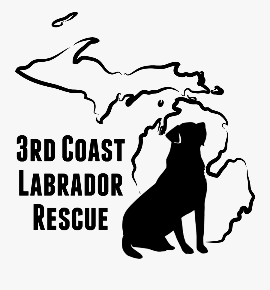 3rd Coast Labrador Rescue - Dental Clinics North Logo, Transparent Clipart