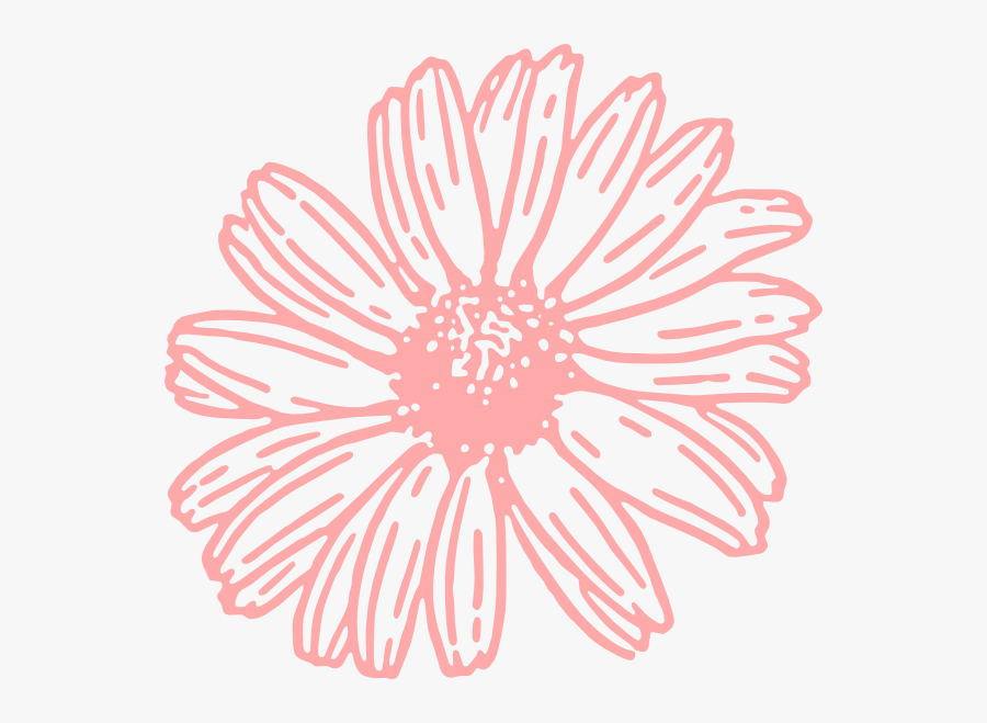 Pink Daisy Clipart - Daisy Outline Clipart, Transparent Clipart