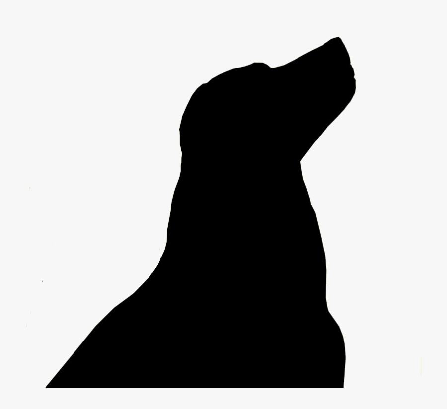 Transparent Sealion Clipart - Silhouette, Transparent Clipart