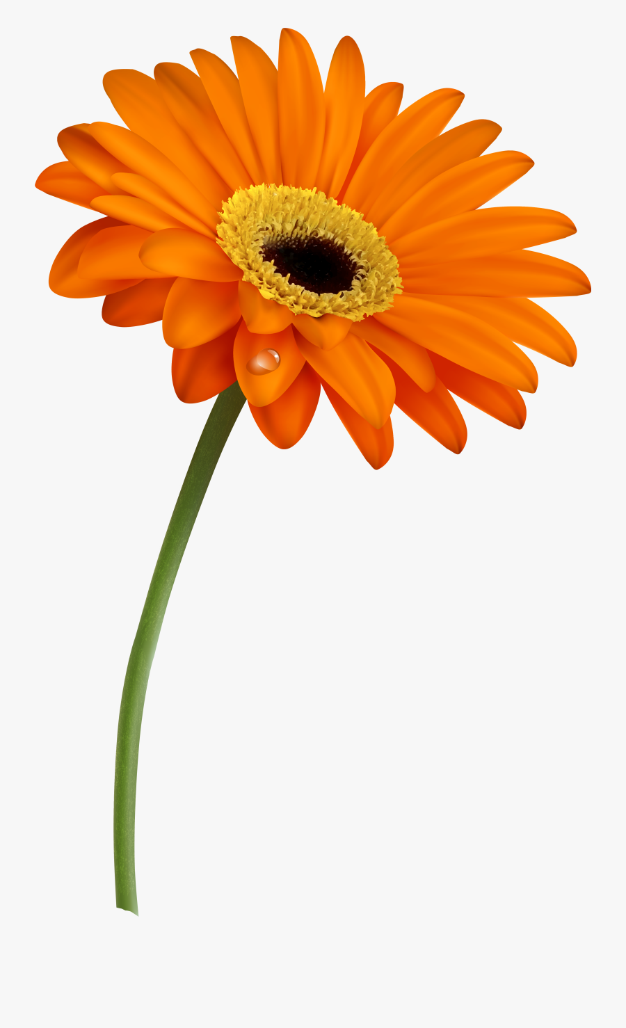 Grass With Flowers And Butterfly , Transparent Cartoons - Flower And Butterfly, Transparent Clipart