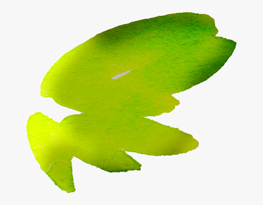 Free Watercolor Floral Elements- Pretty - Maidenhair Tree, Transparent Clipart