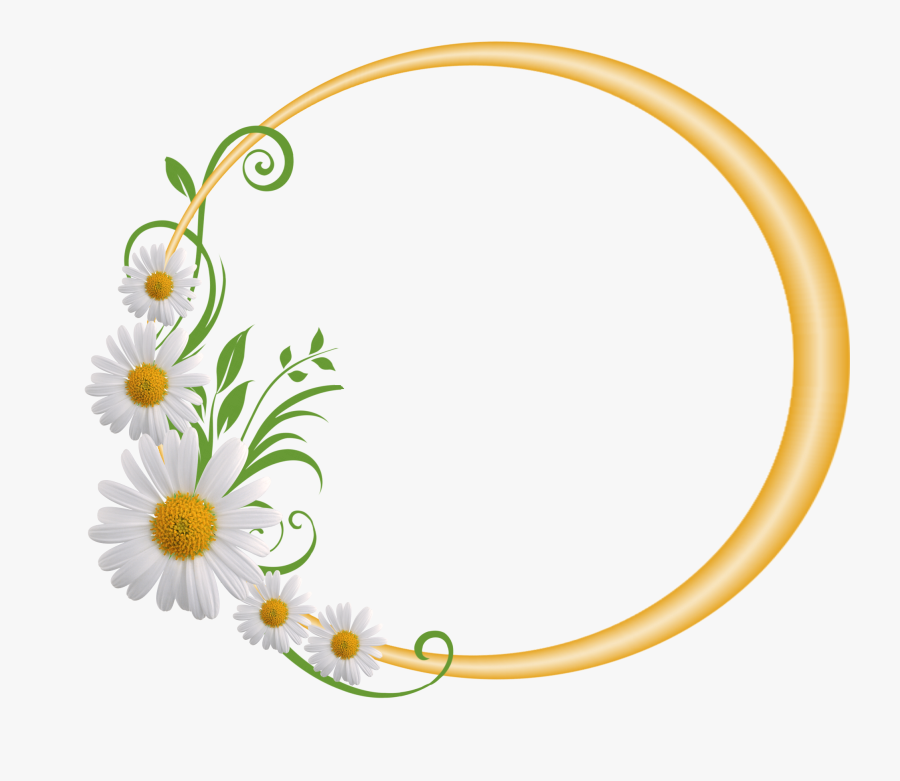 Daisies Clipart Page Border - Flower Circle Frame Png, Transparent Clipart