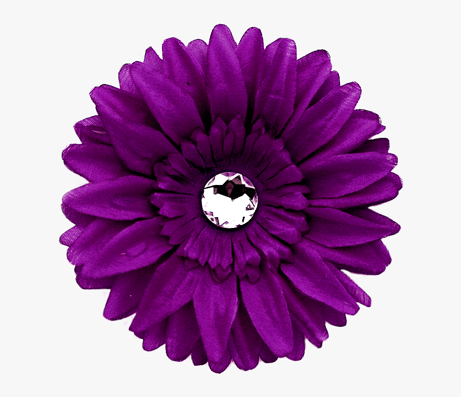 Go To Image - Purple Gerber Daisy Clipart, Transparent Clipart