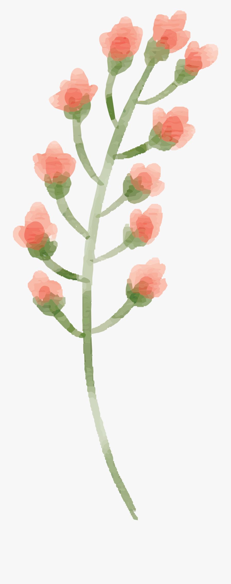 Transparent Free Watercolor Flower Clipart - Peach Rose Watercolor Flowers, Transparent Clipart