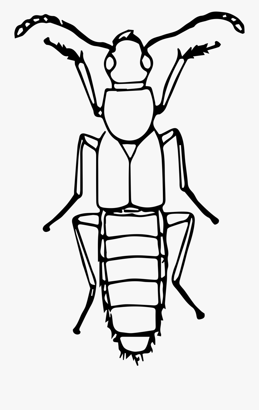 Transparent Bugs Clipart Black And White - Insect Clipart Black And White, Transparent Clipart