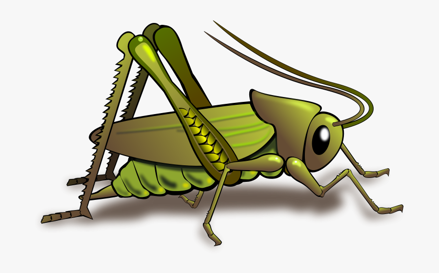 Clipart Of Bug, Cricket And Insects - حشرة تحتوي على البروتين, Transparent Clipart