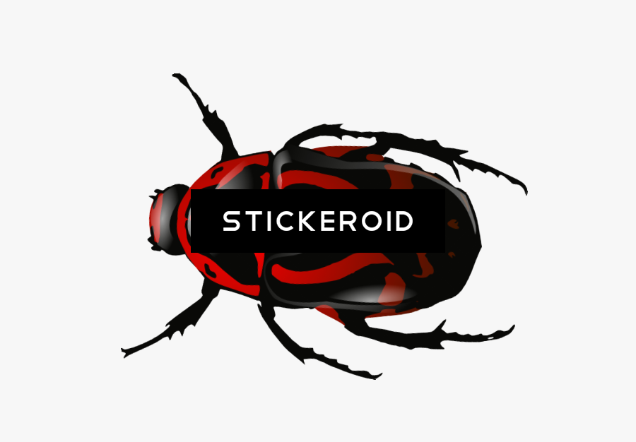 Roach Bug Bugs Insects, Transparent Clipart