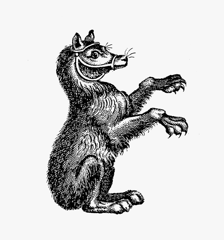 Illustration, Transparent Clipart