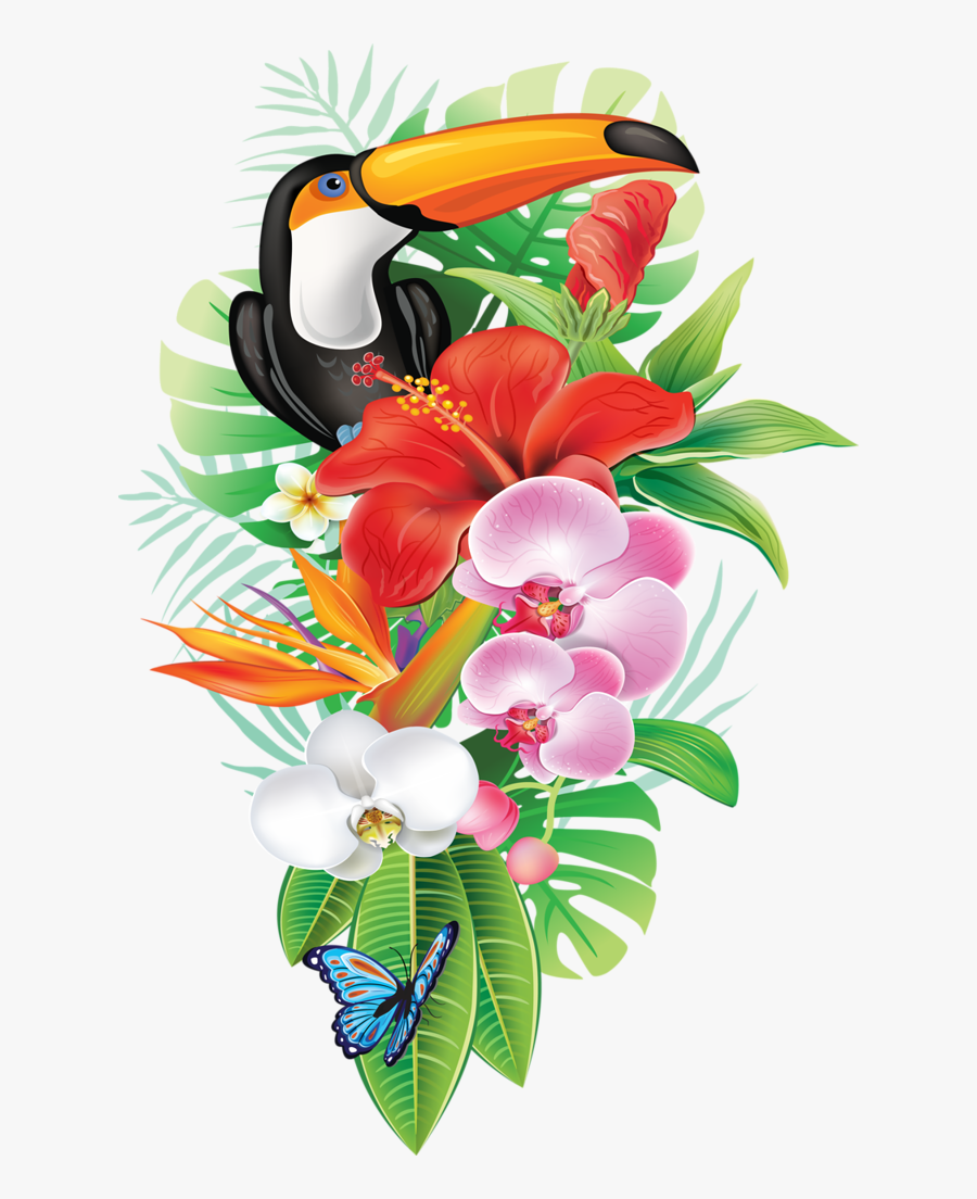 Hawaiian Clipart Tropical Bird - Tropical Png, Transparent Clipart