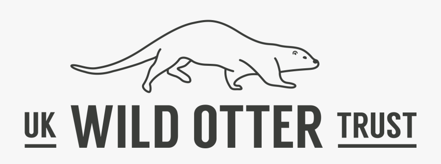 Uk Wild Otter Trust - Otter Trust, Transparent Clipart