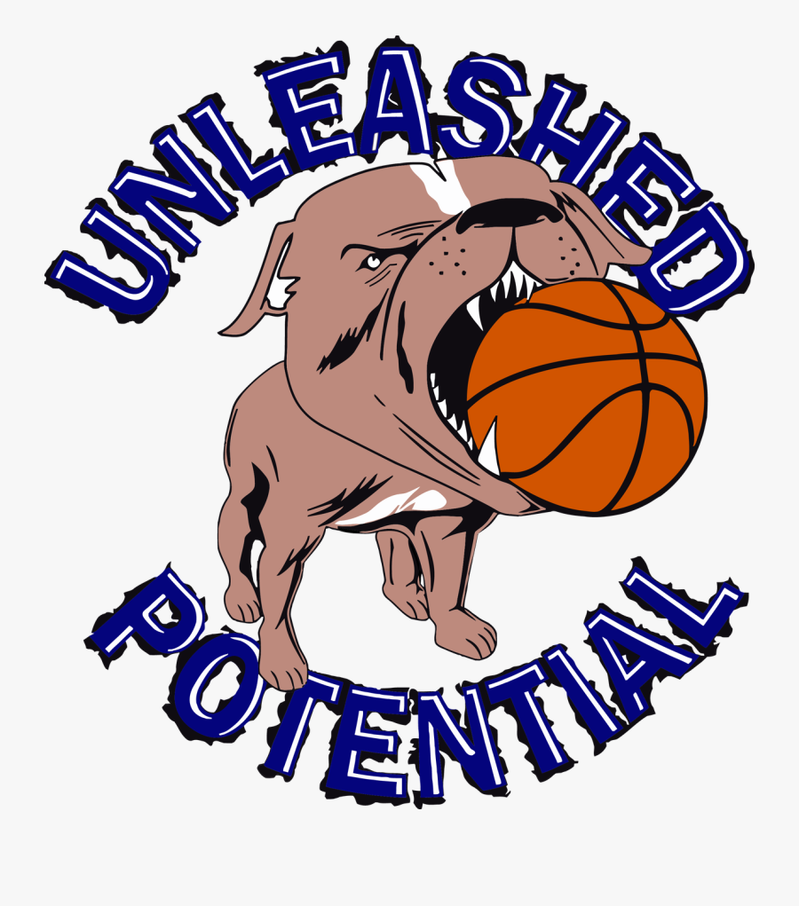Women's Basketball, Transparent Clipart