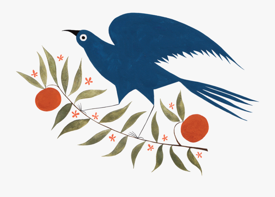 Perching Bird, Transparent Clipart