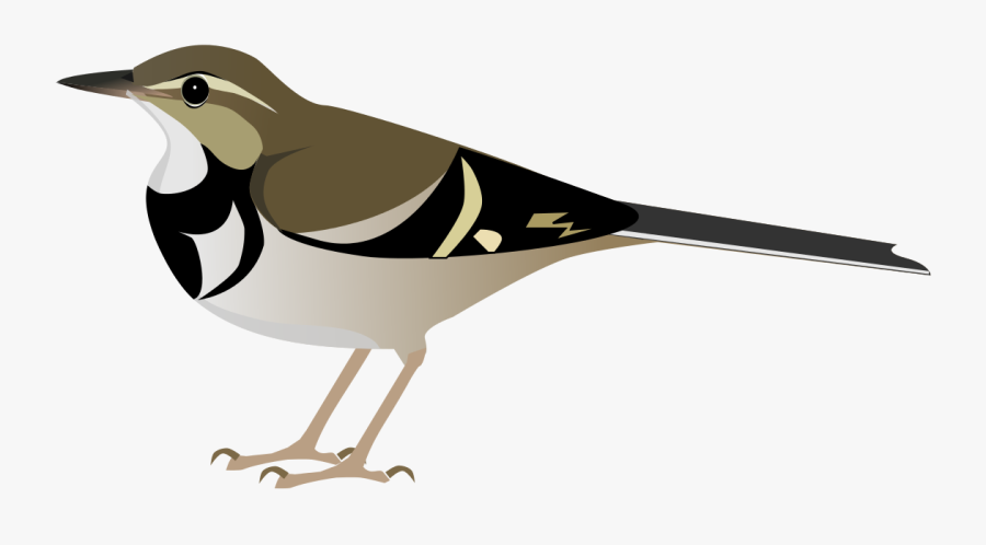 Pixel Mockingbird Transparent, Transparent Clipart