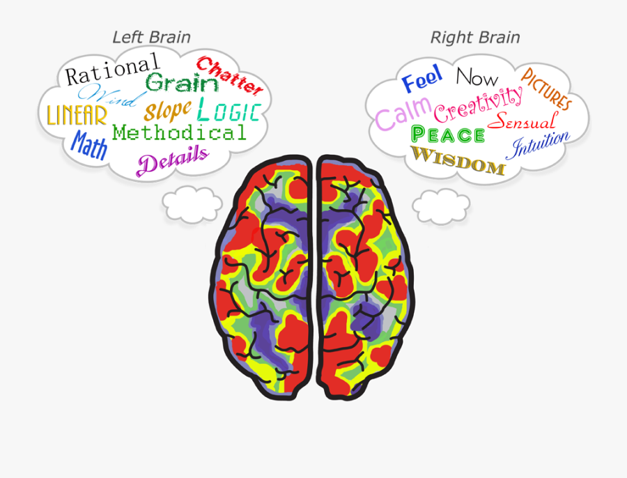 Creative Clipart Math Brain - Sides Of Your Brain, Transparent Clipart